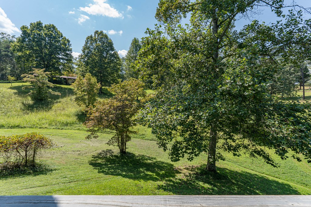 264 Tommy's Lane Murphy, NC 28906 - Photo 9 of 53 a view of a garden