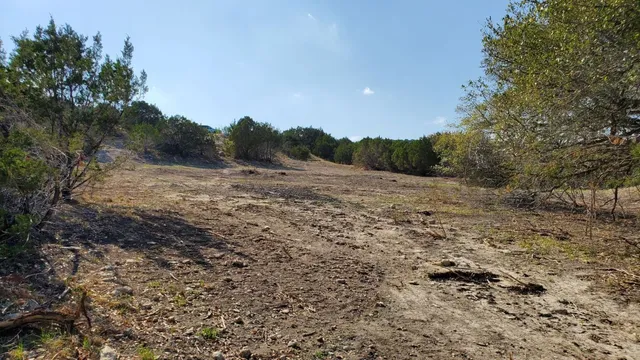 a view of a yard with a tree
