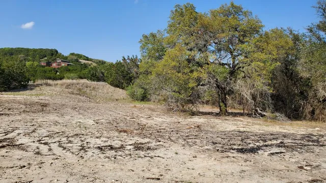 a view of a dry yard with trees