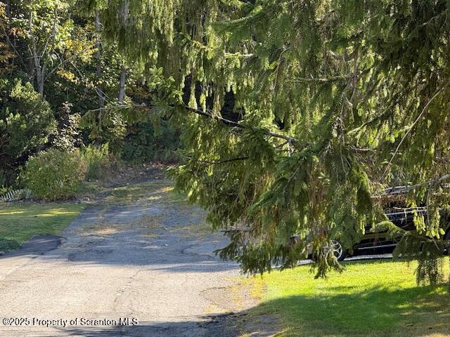 Roaring Brook Moscow, PA 18444 - Photo 3 of 9 a view of backyard with green space