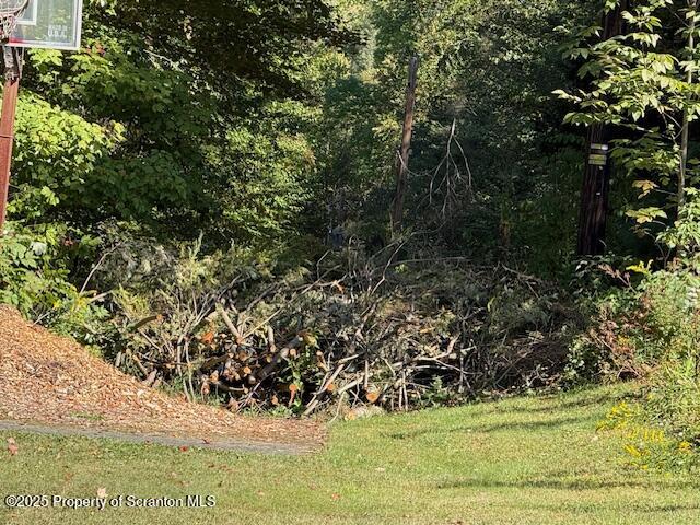 Roaring Brook Moscow, PA 18444 - Photo 4 of 9 a view of a garden
