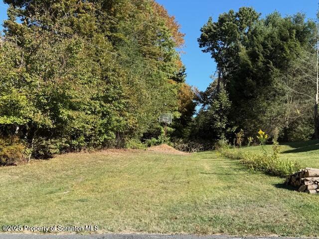 Roaring Brook Moscow, PA 18444 - Photo 5 of 9 a view of a yard with trees