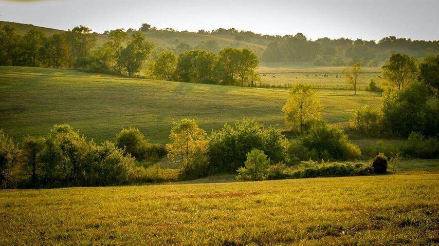 0 Deer Chase Road, Unit TRACT 18 Danville, KY 40422 - Photo 19 of 20 20211001193256505096000000-o