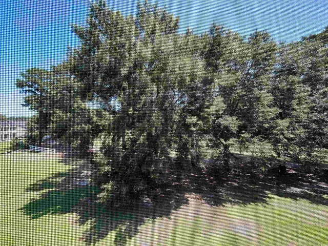 $318,000 | 1525 Lanterns Rest Road, Unit 301, Myrtle Beach, SC 29579