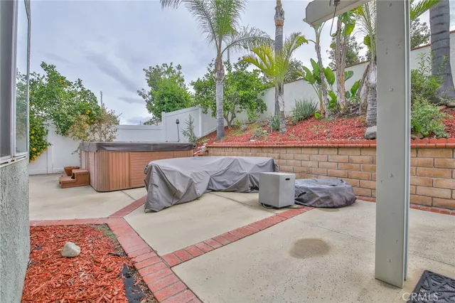a view of a backyard with plants and palm tree