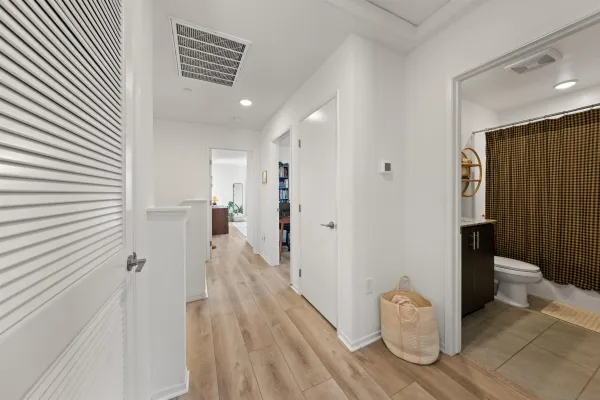 a view of a garden with a pathway