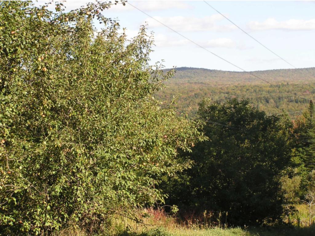 551 Taylor Road Greensboro, VT 05842 - Photo 1 of 8