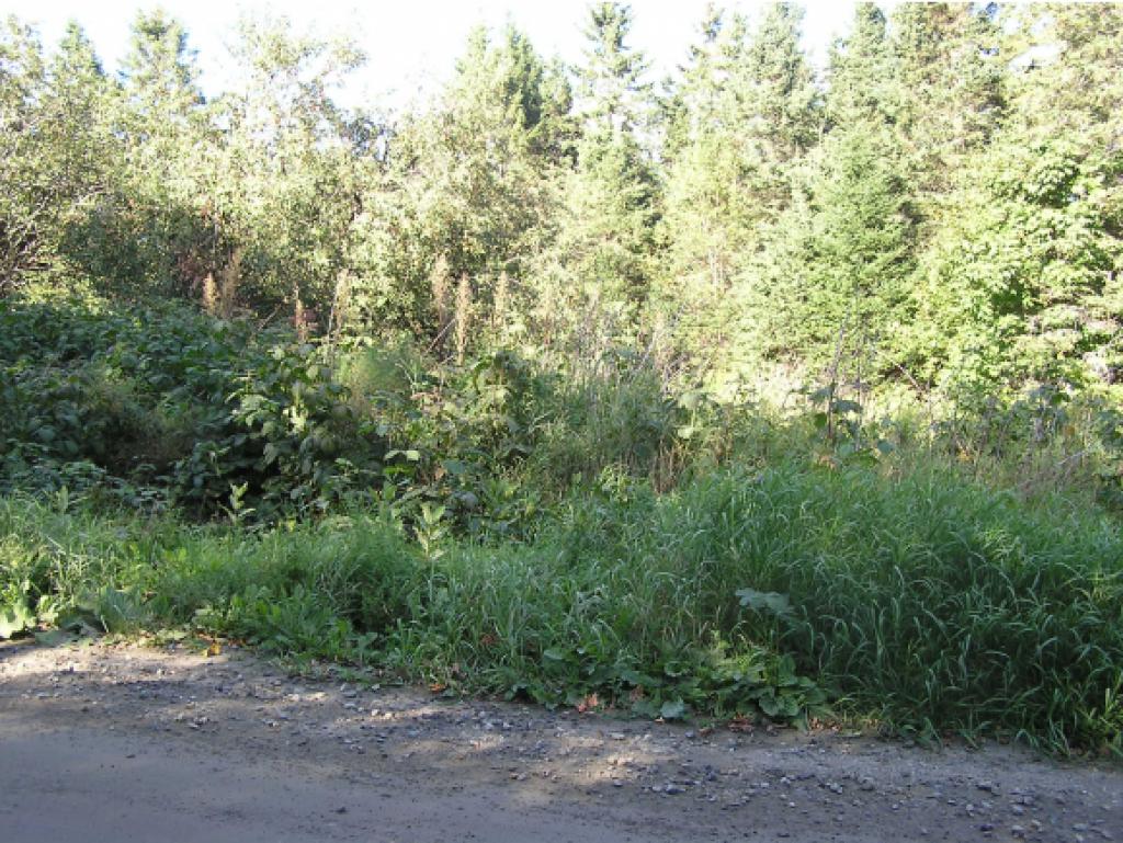 551 Taylor Road Greensboro, VT 05842 - Photo 6 of 8