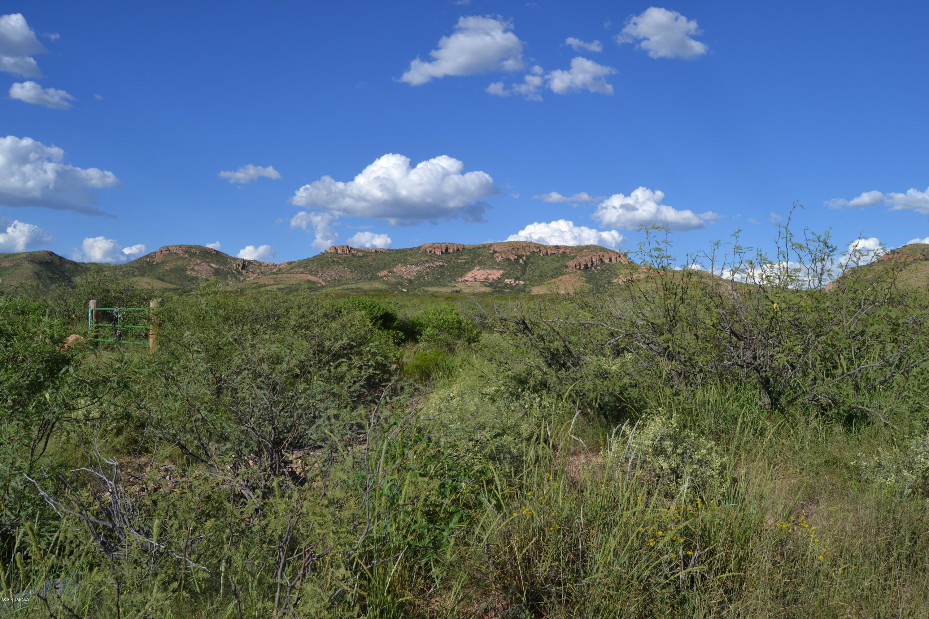 Tbd East Green Wash Road Douglas, AZ 85607 - Photo 6 of 12 Gallery Image 6