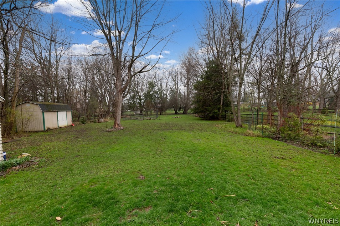 130 Allendale Road West Seneca, NY 14224 - Photo 24 of 27 Backyard