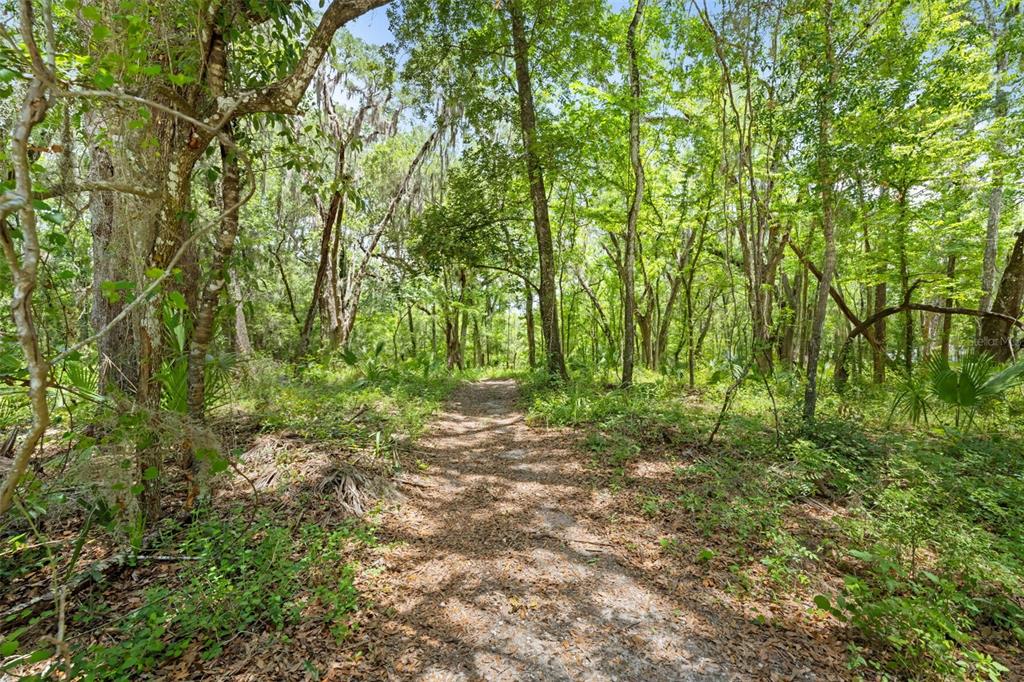 0 Ricebird Avenue, Unit LOT 89 Weeki Wachee, FL 34614 - Photo 20 of 27