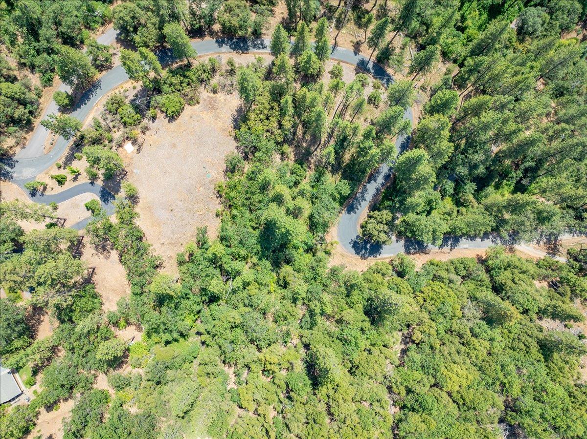 22600 Plumtree Road Colfax, CA 95713 - Photo 36 of 37