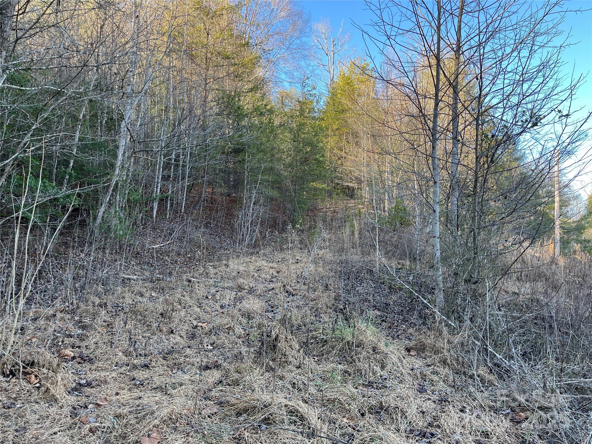 6588 Rich Mountain Road Morganton, NC 28655 - Photo 2 of 5
