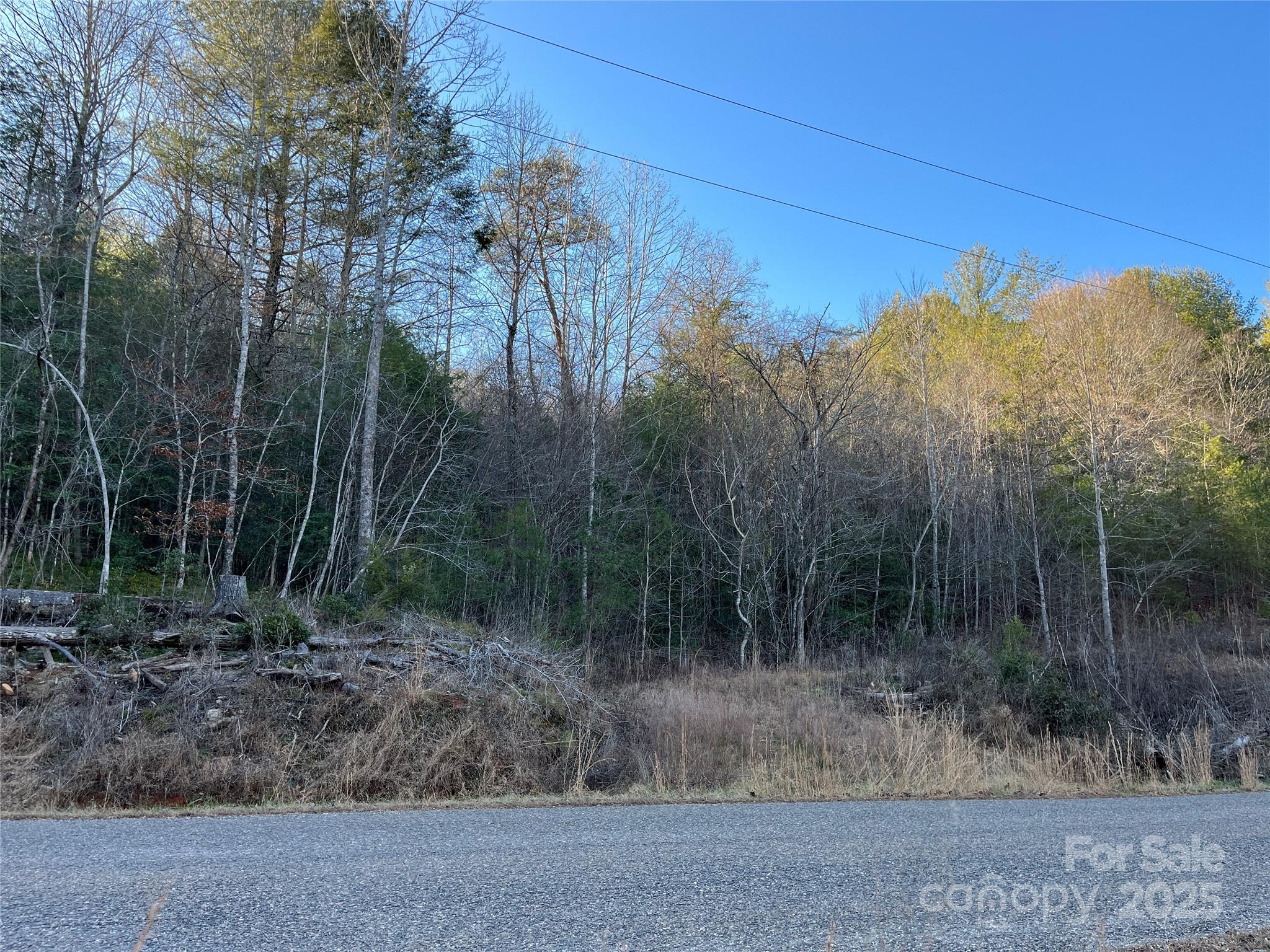 6588 Rich Mountain Road Morganton, NC 28655 - Photo 5 of 5