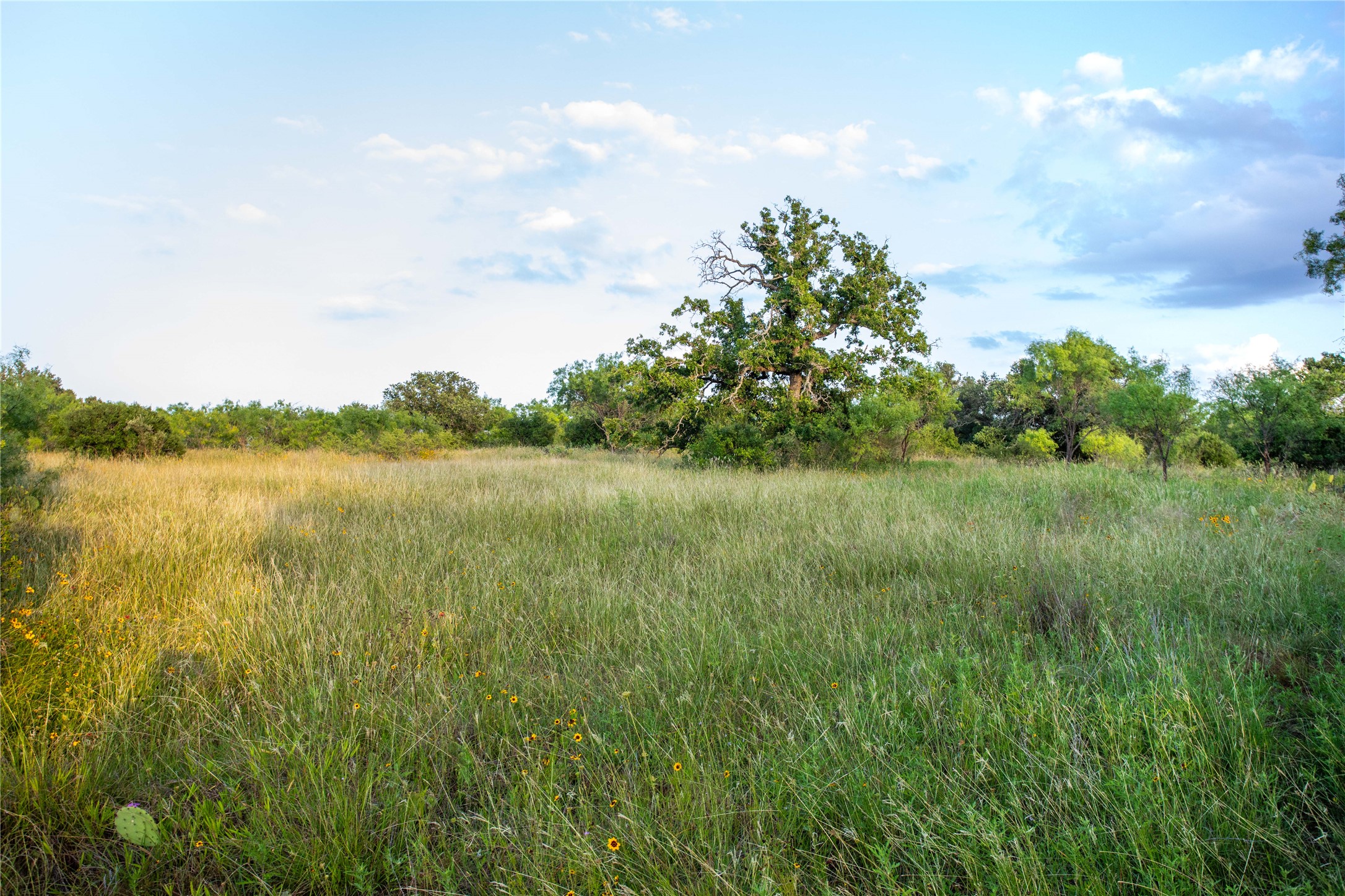 Tbd Broke O Road Llano, TX 78643 - Photo 6 of 38