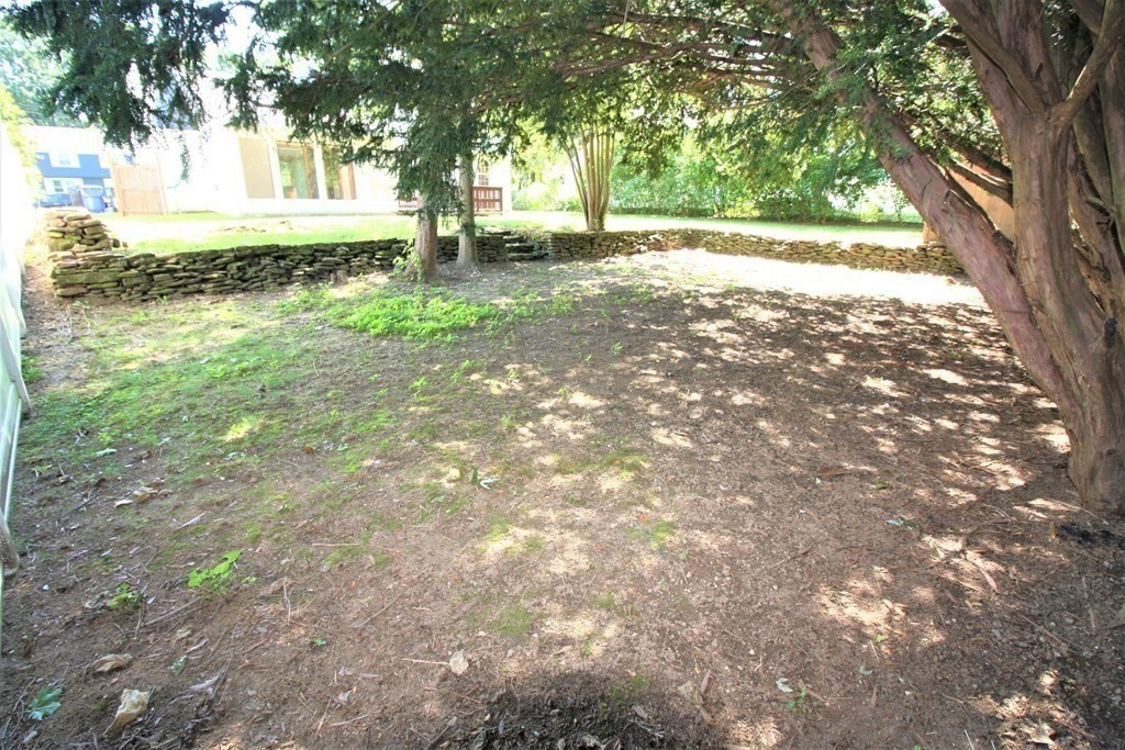116 Donbray Road Springfield, MA 01119 - Photo 41 of 42 a view of yard with trees