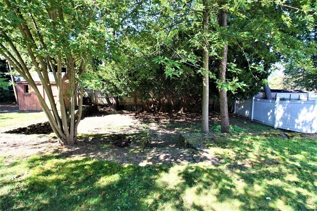 116 Donbray Road Springfield, MA 01119 - Photo 42 of 42 a view of backyard with tree
