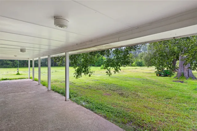 a view of a backyard with a garden and plants