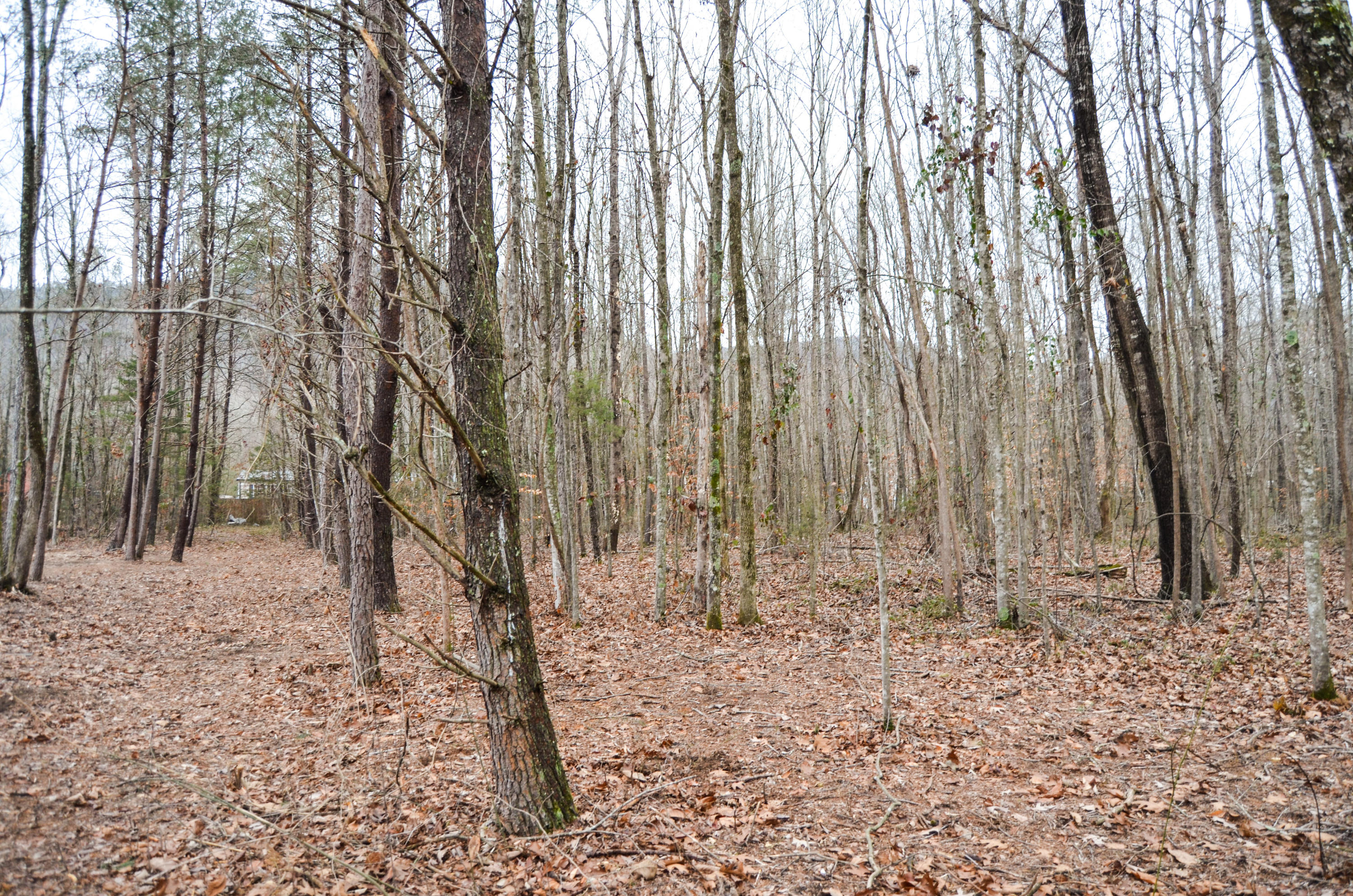 4909 Old Dunlap Road Whitwell, TN 37397 - Photo 27 of 30 DSC_0132_edited