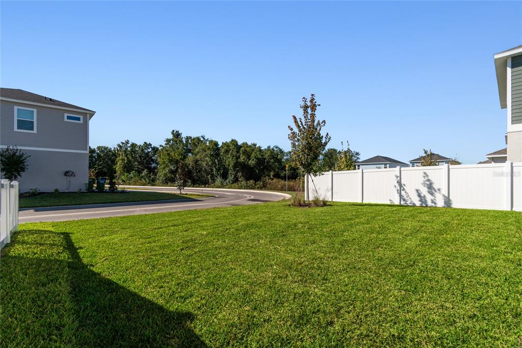 28796 Jujube Road Wesley Chapel, FL 33543 - Photo 51 of 53 Gallery Image 51