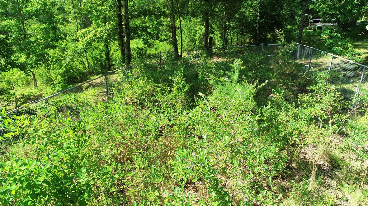 586 Robinson Bridge Road Central, SC 29630 - Photo 16 of 17