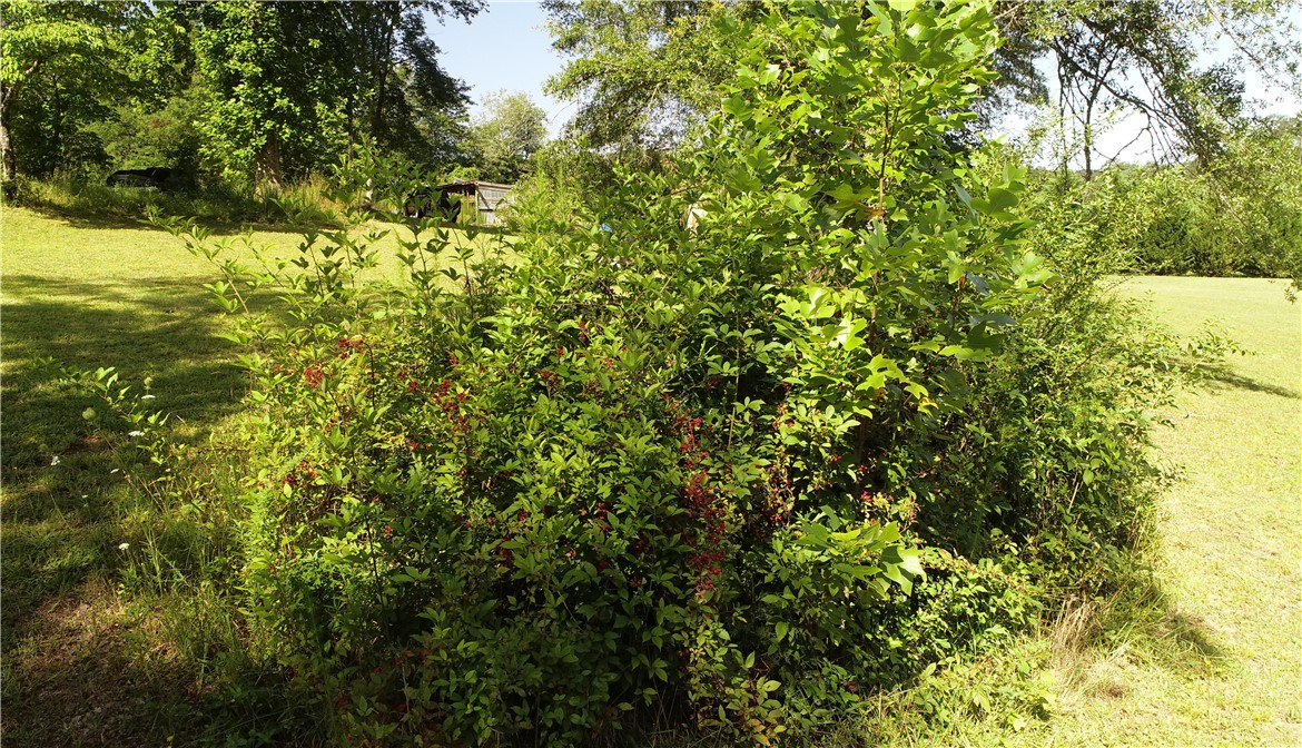 586 Robinson Bridge Road Central, SC 29630 - Photo 17 of 17