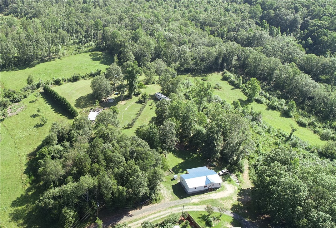 586 Robinson Bridge Road Central, SC 29630 - Photo 3 of 17