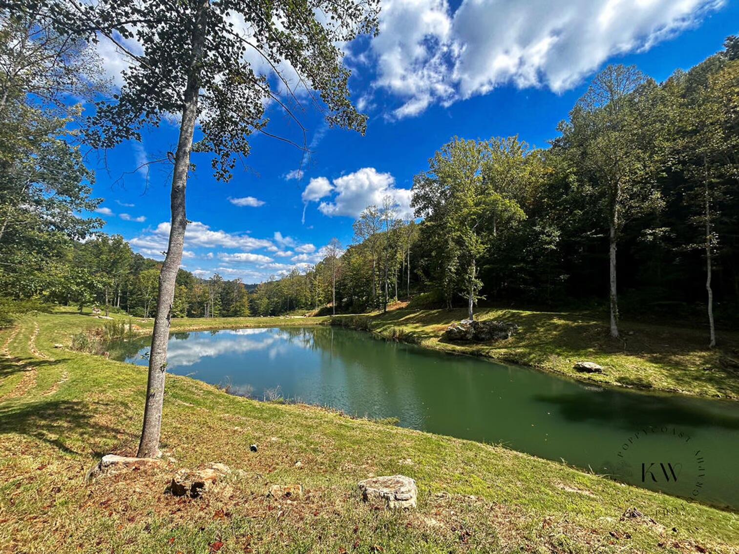 170 Birch Hollow Road Stanton, KY 40380 - Photo 2 of 25