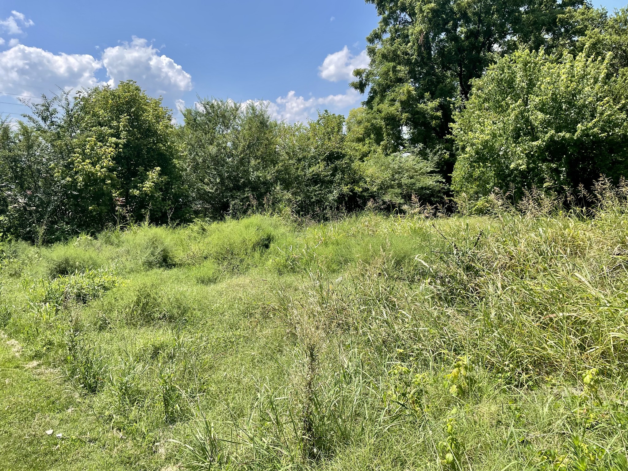 165 Morrison Street Gallatin, TN 37066 - Photo 6 of 6 a view of a garden