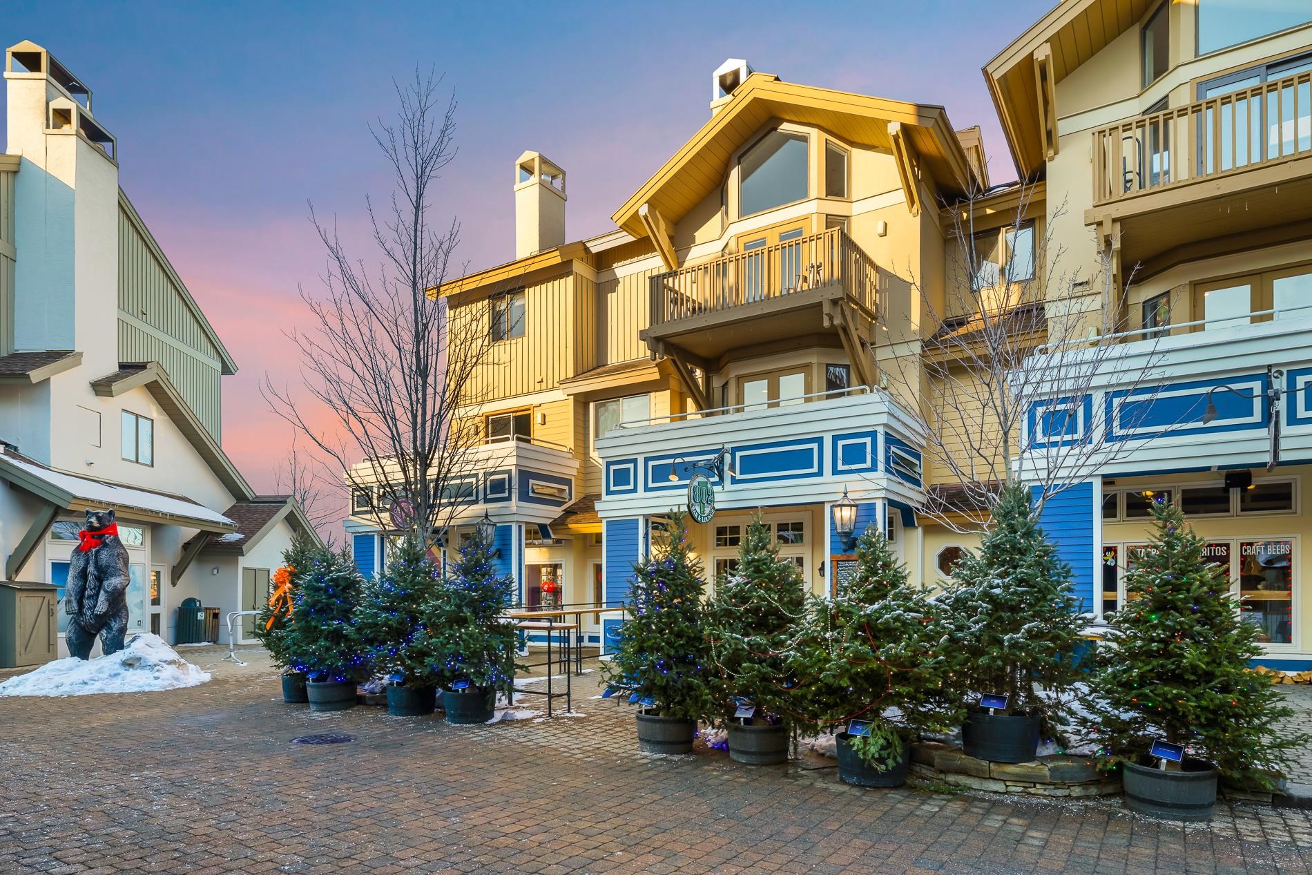 56 Village Square, Unit 56 Stratton, VT 05340 - Photo 1 of 33