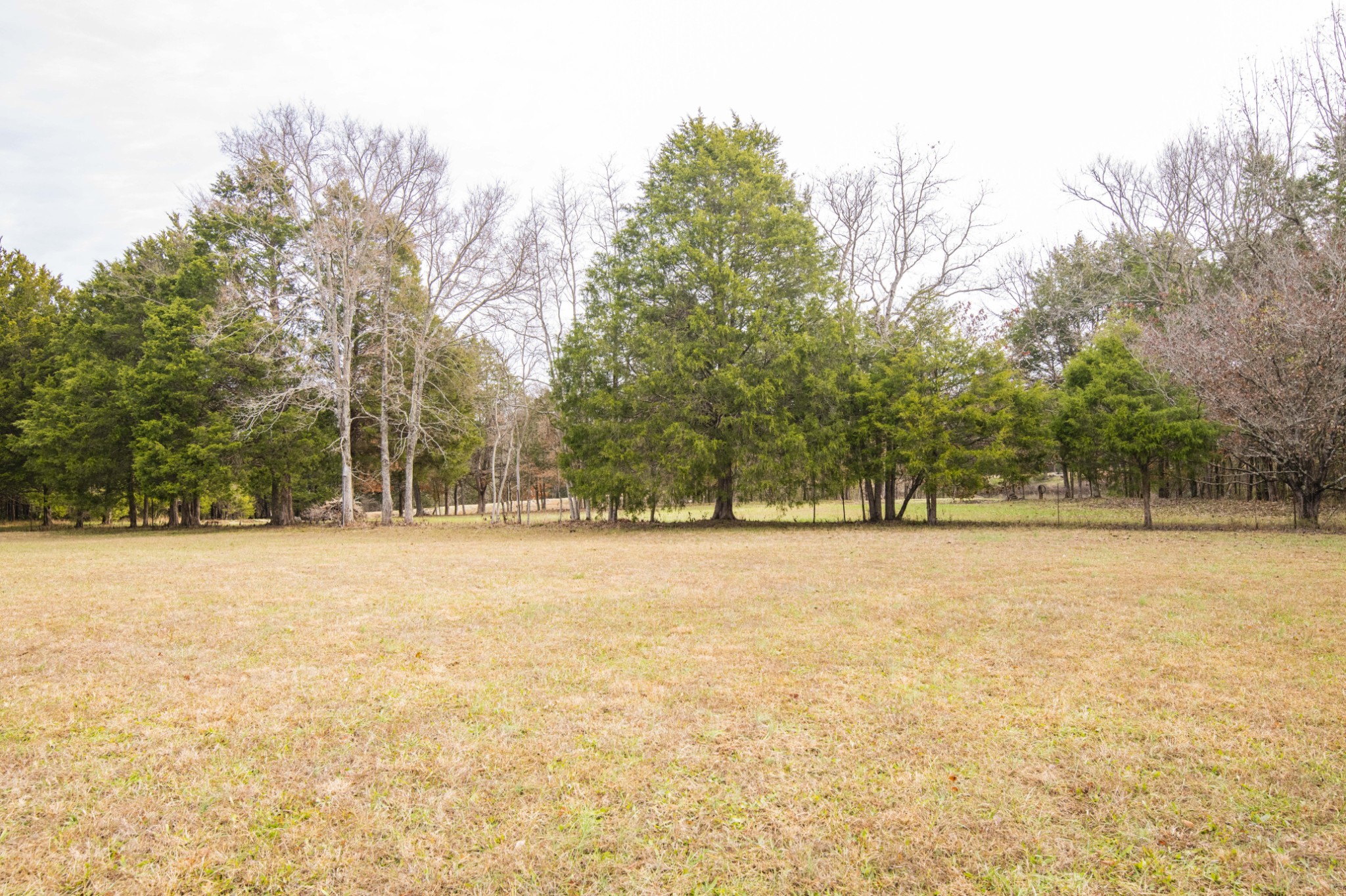 3522 Betty Ford Road Murfreesboro, TN 37130 - Photo 47 of 50 Gallery Image 47