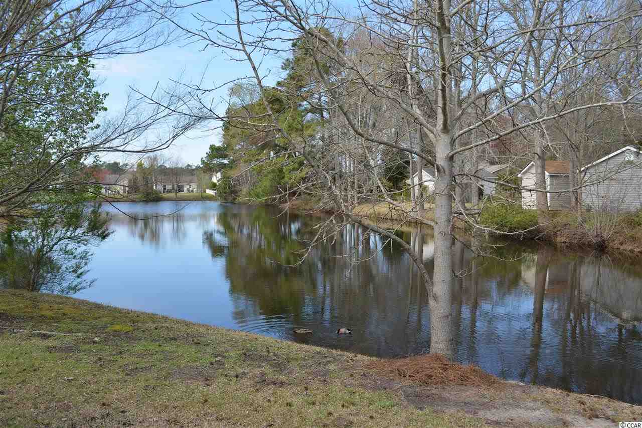 2003 Ocean Way Surfside Beach, SC 29575 - Photo 3 of 25 Gallery Image 3