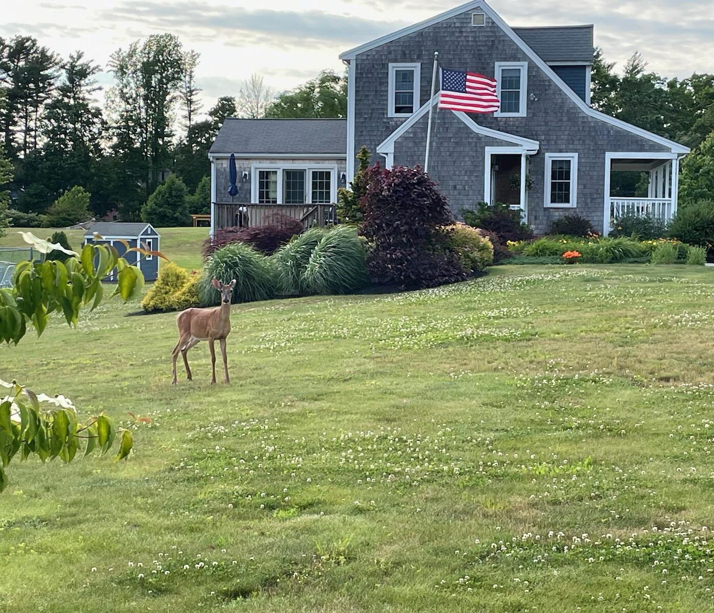 16 Palmer Mill Road Halifax, MA 02338 - Photo 47 of 54 IMG958185