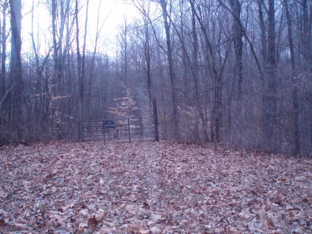 7707 North Lydy Road Bloomington, IN 47408 - Photo 1 of 9 Gallery Image 1