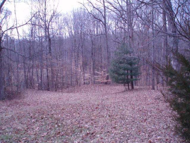7707 North Lydy Road Bloomington, IN 47408 - Photo 3 of 9 Gallery Image 3