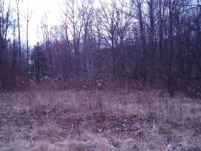 7707 North Lydy Road Bloomington, IN 47408 - Photo 4 of 9 Gallery Image 4