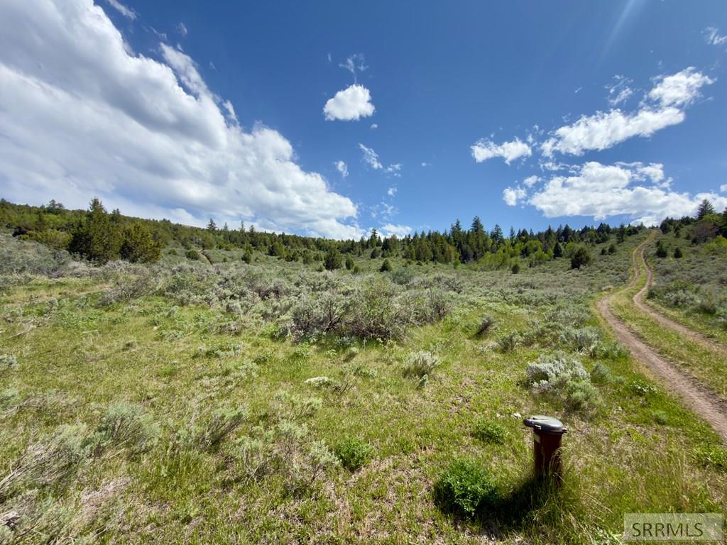 Tbd Fish Creek Road Lava Hot Springs, ID 83246 - Photo 26 of 44