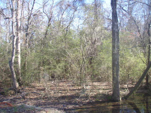 0 King Road Ashford, AL 36312 - Photo 1 of 1