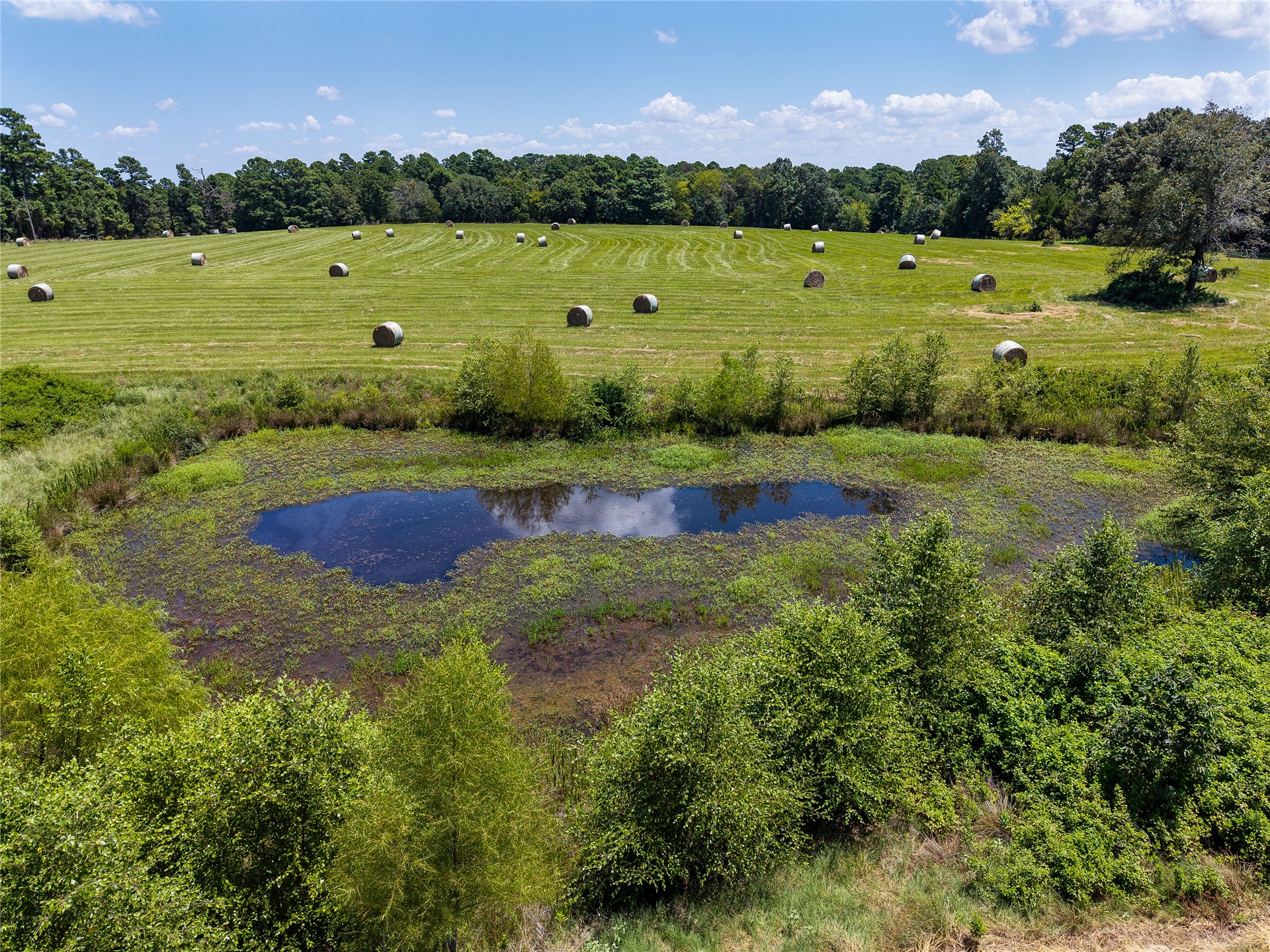 Expansive agricultural field featuring hay bales, bordered by mature trees and a natural pond with lush vegetation