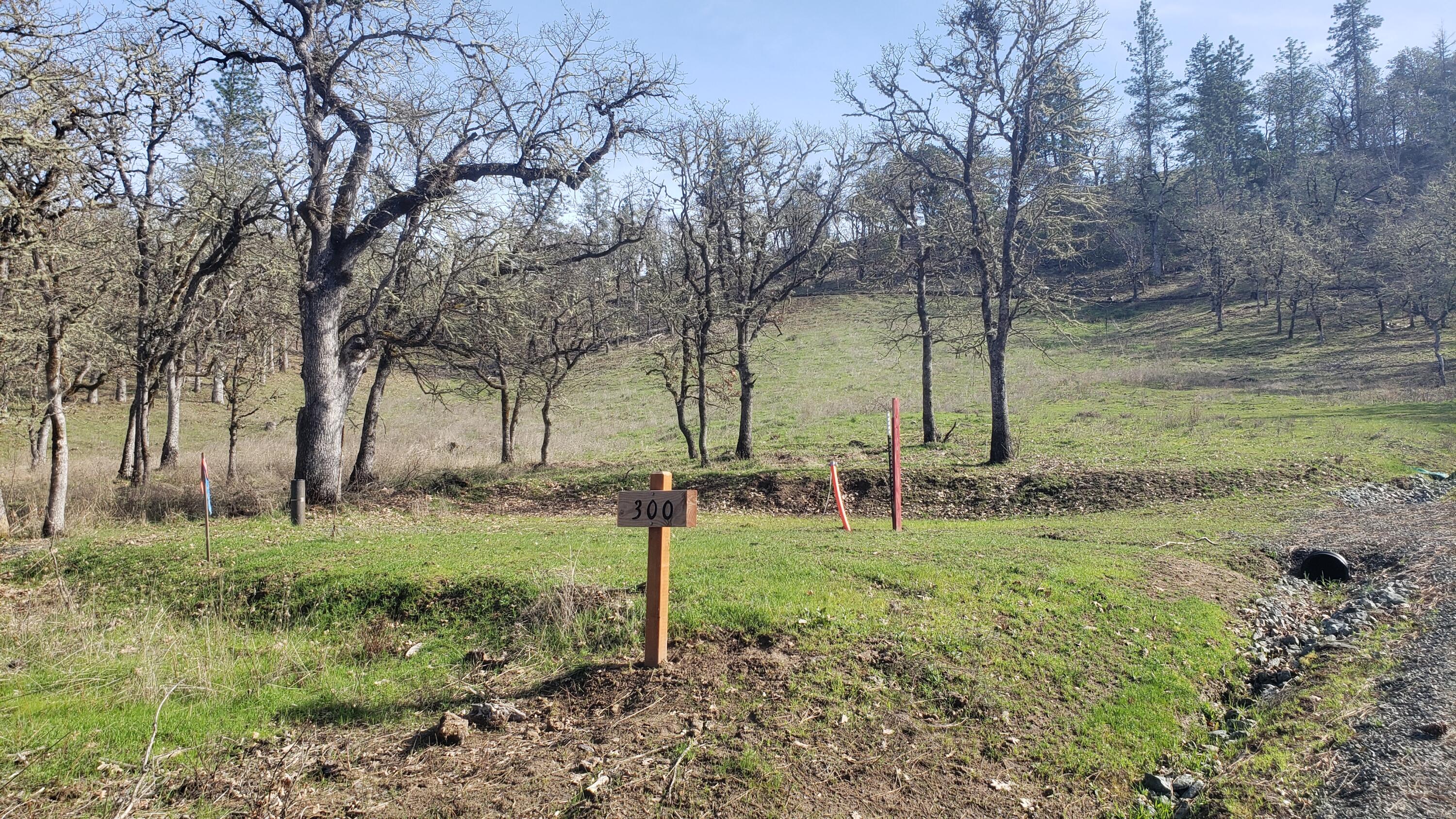 Messinger Road, Unit 300 Williams, OR 97544 - Photo 1 of 11 a view of a park