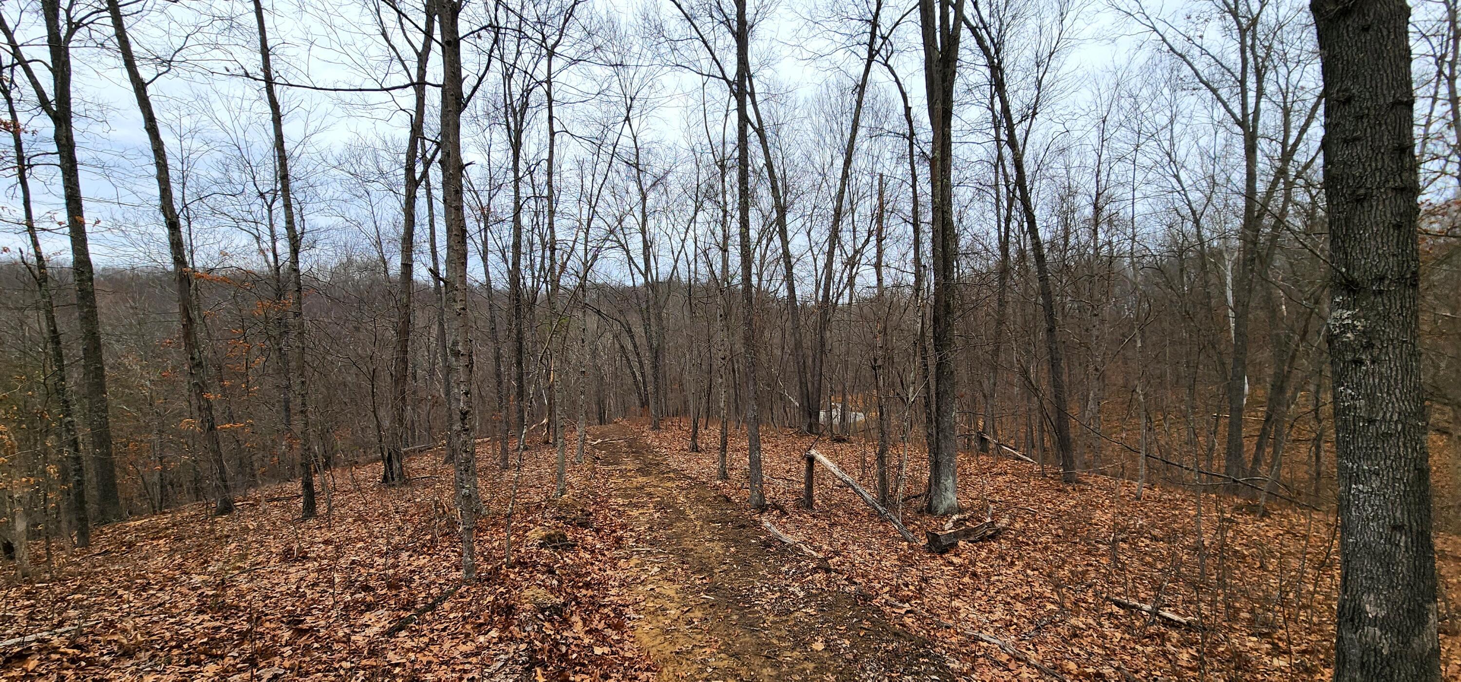 0 Edmundson Road, Unit TRACT 4 AT BIG TIMBER) Vinton, OH 45686 - Photo 64 of 67 20250307_120342