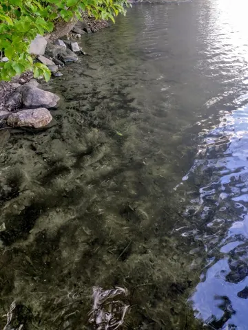 $95,000 | Lot 11 Herrin Woods Road, Vienna, ME 04360