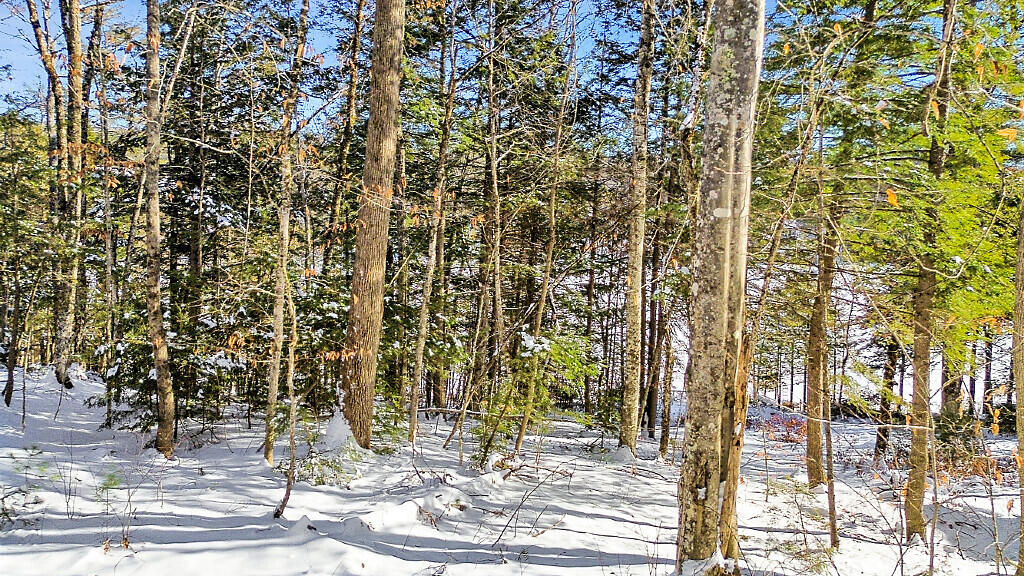 Lot 11 Herrin Woods Road Vienna, ME 04360 - Photo 5 of 19 01_dji_fly_20241227_115630_710_173553270