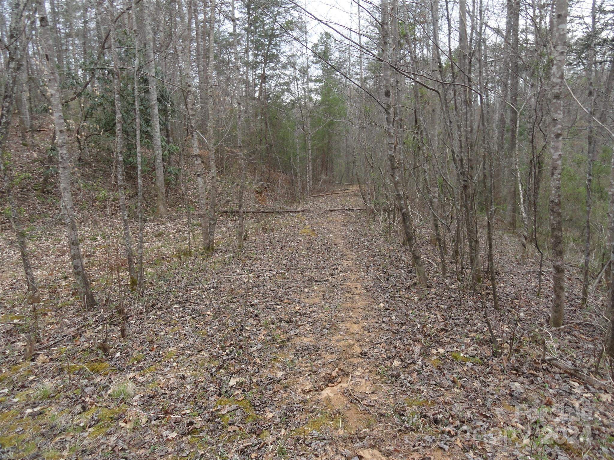 Tbd Mc Kinney Road Marion, NC 28752 - Photo 1 of 16 Gallery Image 1