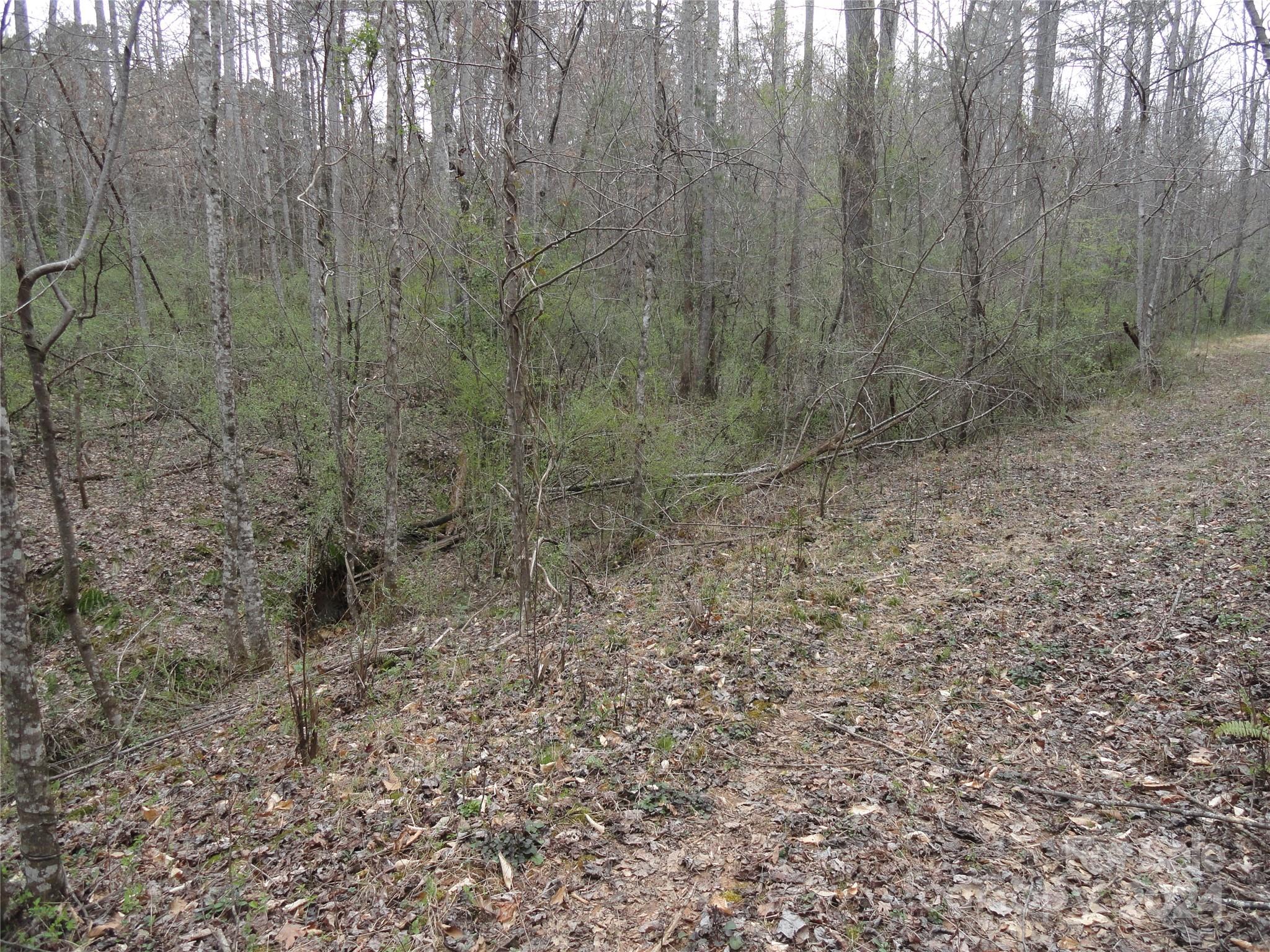 Tbd Mc Kinney Road Marion, NC 28752 - Photo 11 of 16 Gallery Image 11