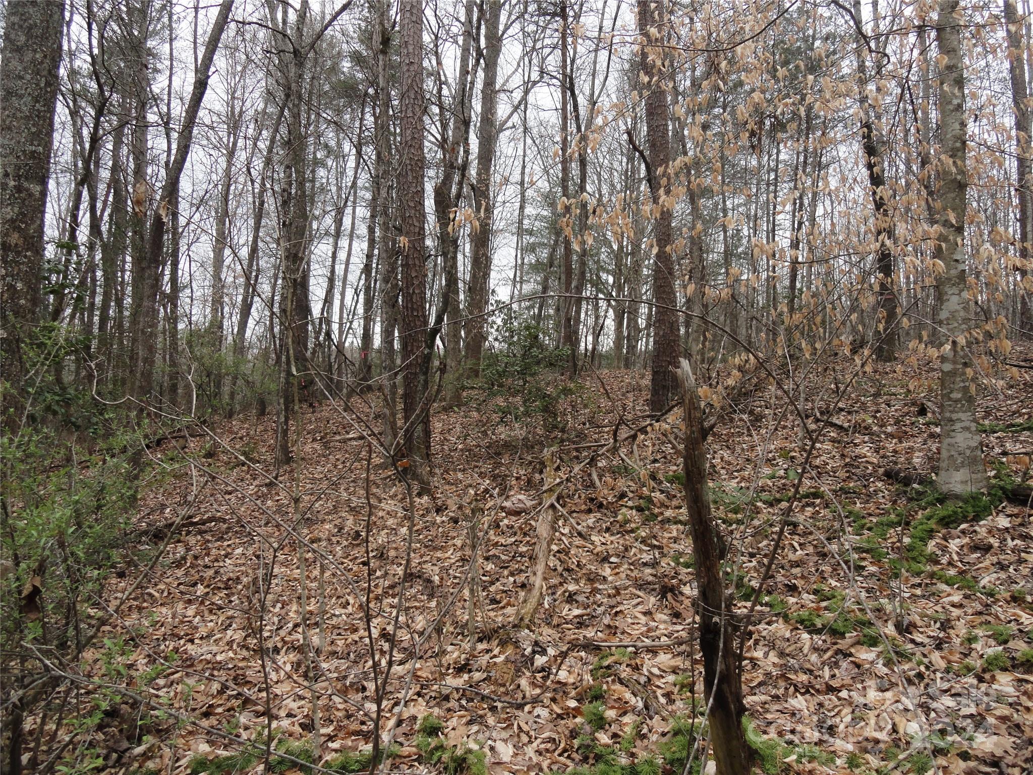 Tbd Mc Kinney Road Marion, NC 28752 - Photo 12 of 16 Gallery Image 12