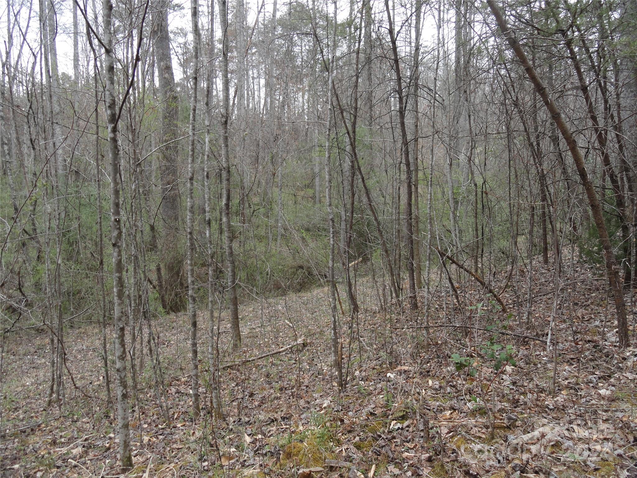 Tbd Mc Kinney Road Marion, NC 28752 - Photo 13 of 16 Gallery Image 13
