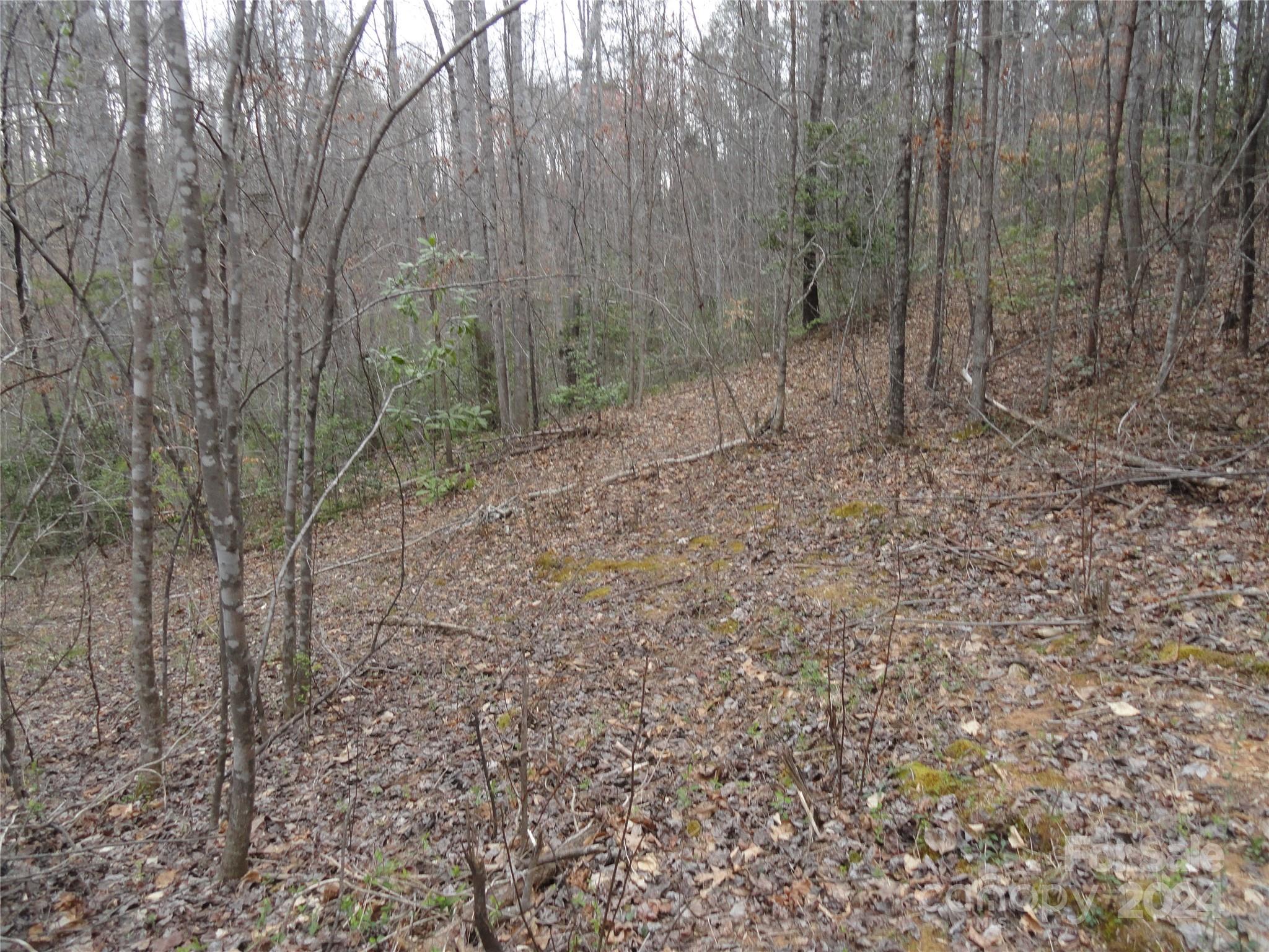 Tbd Mc Kinney Road Marion, NC 28752 - Photo 14 of 16 Gallery Image 14
