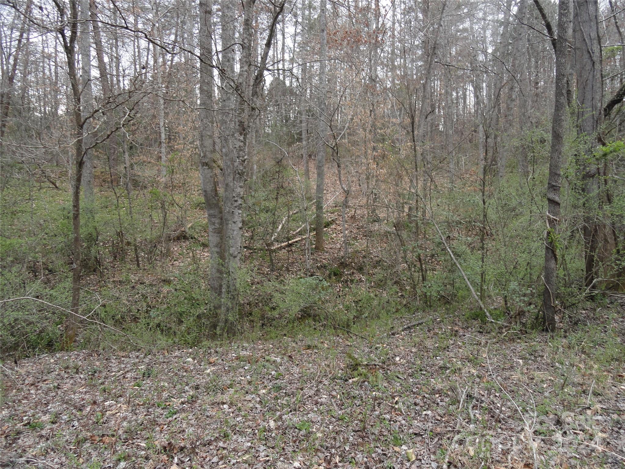 Tbd Mc Kinney Road Marion, NC 28752 - Photo 15 of 16 Gallery Image 15