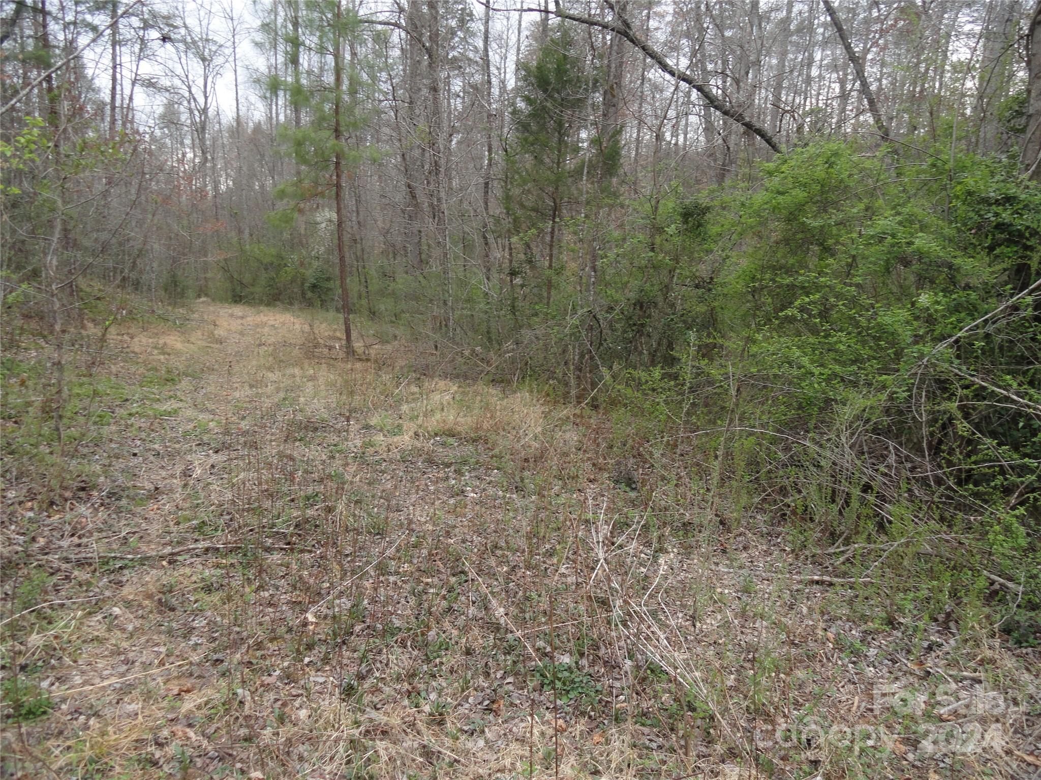 Tbd Mc Kinney Road Marion, NC 28752 - Photo 3 of 16 Gallery Image 3